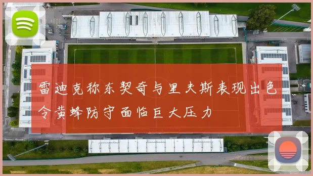 雷迪克称东契奇与里夫斯表现出色令黄蜂防守面临巨大压力