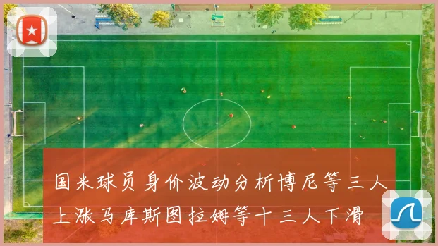 国米球员身价波动分析博尼等三人上涨马库斯图拉姆等十三人下滑