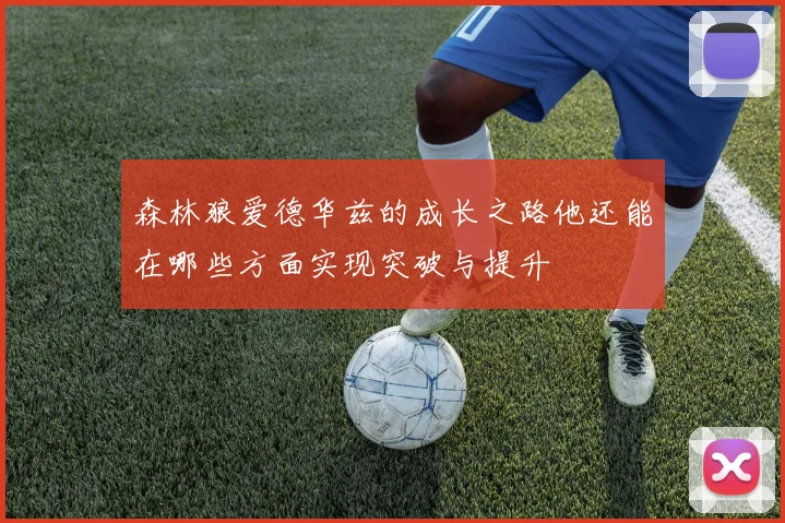 森林狼爱德华兹的成长之路他还能在哪些方面实现突破与提升